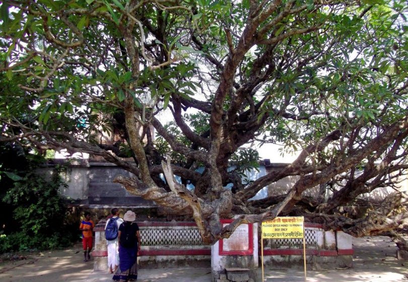Chand Kazi's Samadhi